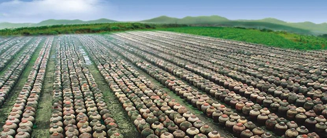 成都大运会丨泸州非遗“遇见天府市集”(图15) 15.jpg