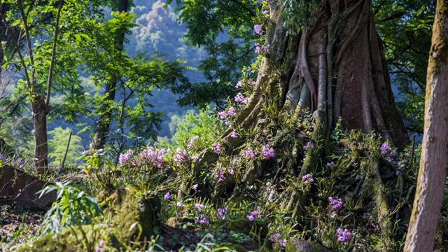 成都大运会丨泸州非遗“遇见天府市集”(图24) 24.jpg