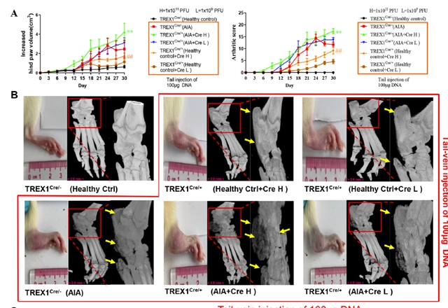 他是西南医大附院第一位在Nature Communications发表论著的青年医生(图4) 4.jpg