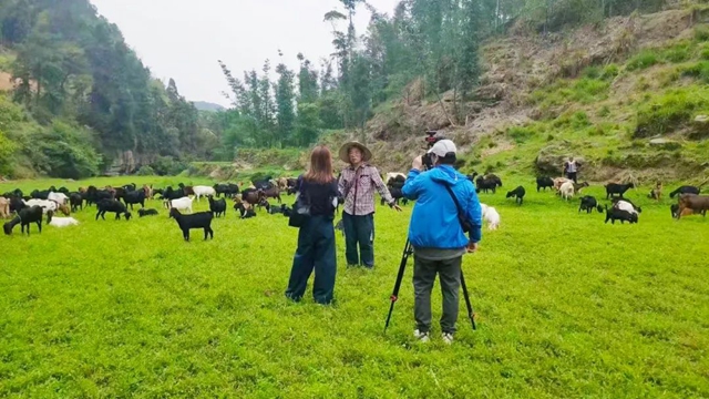 锁定央视！内江“霸屏”