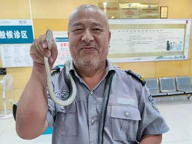 【警惕】1米多大蛇惊现，保安叔叔轻松拿捏！