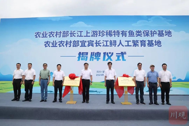 加大长江鲟等珍稀鱼类保护力度,两基地在长宁成立(图2) 宁2.jpg