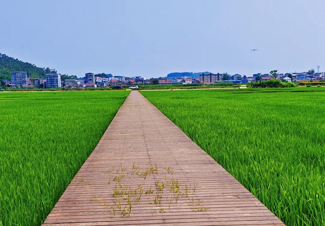 定了！荣县被确定为全国唯一试点县！