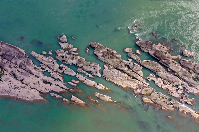 从大运之城出发丨酒城泸州风光正好(图7) 640 (3).jpg