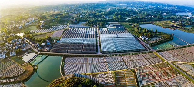 重磅发布!“2023赛迪百强区”榜单出炉,江阳区跃升至第89位(图7) 7.jpg