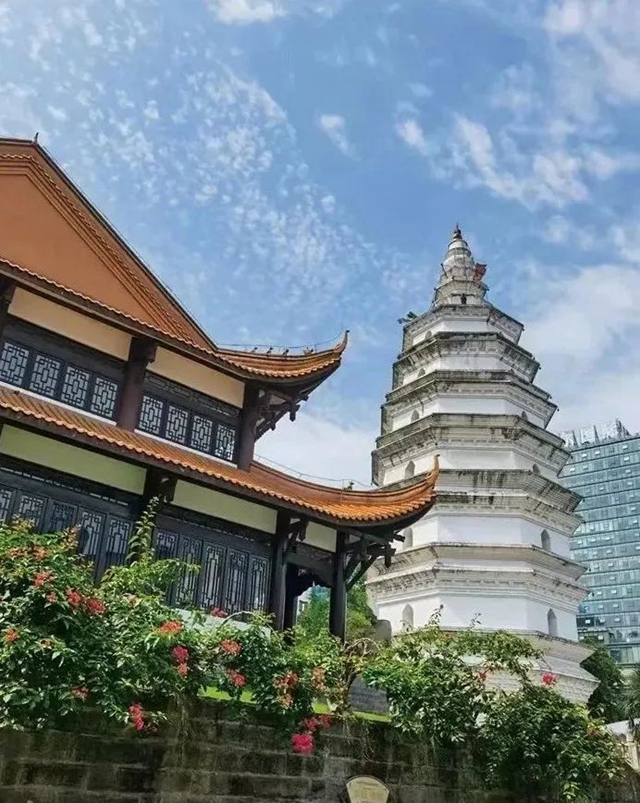 大运会满满泸州元素,各地友人直呼看不够!那就来泸看看吧~攻略巴妹儿已为您准备好→(图3) 640.jpg