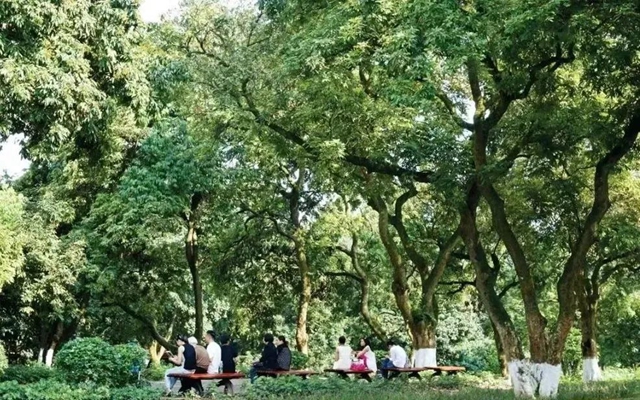 大运会满满泸州元素,各地友人直呼看不够!那就来泸看看吧~攻略巴妹儿已为您准备好→(图6) 640 (3).jpg