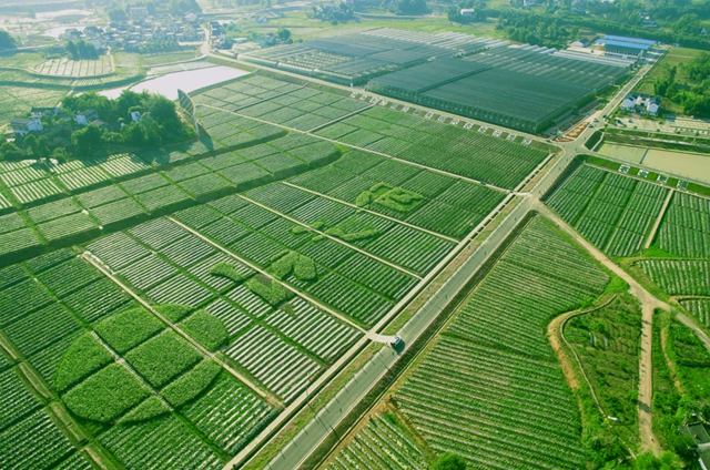 第三批“天府旅游名牌”拟上新，泸州有这些→
