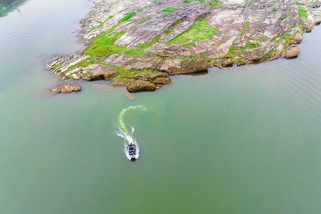 这份属于宜宾的绿色画卷 请查收!(图8) 8.jpg