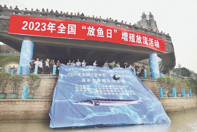 这份属于宜宾的绿色画卷 请查收!(图9) 9.jpg