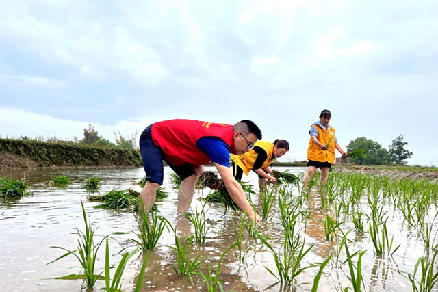 泸州福欣医院丨扶弱助残显担当,春种秋收为“农”忙!(图2) 2.jpg