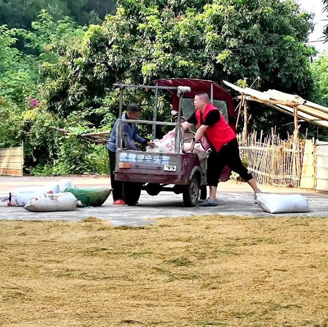 泸州福欣医院丨扶弱助残显担当,春种秋收为“农”忙!(图6) 6.jpg