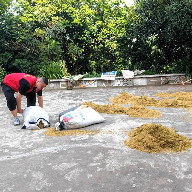 泸州福欣医院丨扶弱助残显担当,春种秋收为“农”忙!(图7) 7.jpg