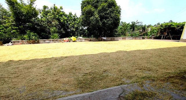 泸州福欣医院丨扶弱助残显担当,春种秋收为“农”忙!(图10) 10.jpg