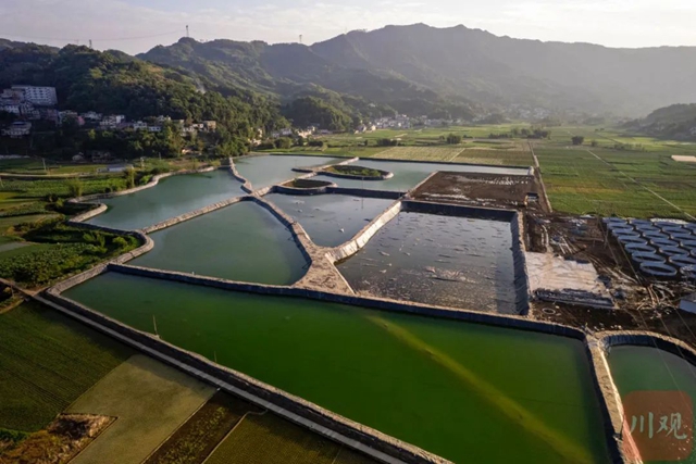 总投资1.2亿元！宜宾这个水产养殖基地一期上市