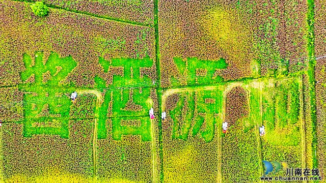 2023年中国农民丰收节暨古蔺县第二届高粱丰登节开幕(图14) nEO_IMG_14.jpg