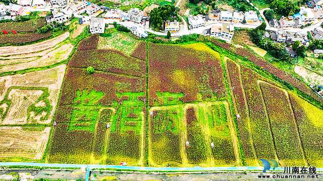 2023年中国农民丰收节暨古蔺县第二届高粱丰登节开幕(图15) nEO_IMG_15.jpg