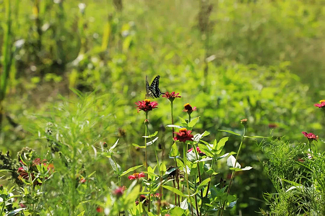 惊叹!屈氏庄园的建筑微观(图13) nEO_IMG_14.jpg