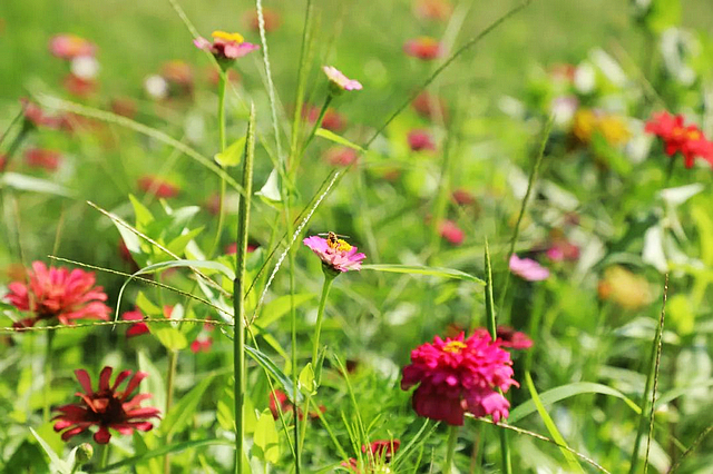 惊叹!屈氏庄园的建筑微观(图14) nEO_IMG_15.jpg