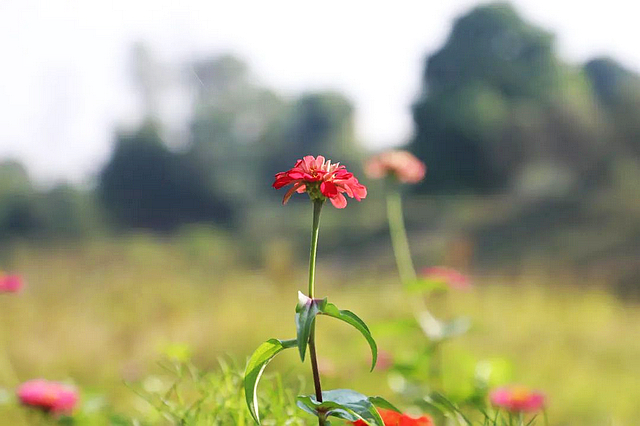 惊叹!屈氏庄园的建筑微观(图16) nEO_IMG_17.jpg