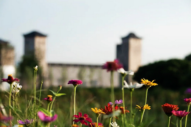 惊叹!屈氏庄园的建筑微观(图20) nEO_IMG_21.jpg