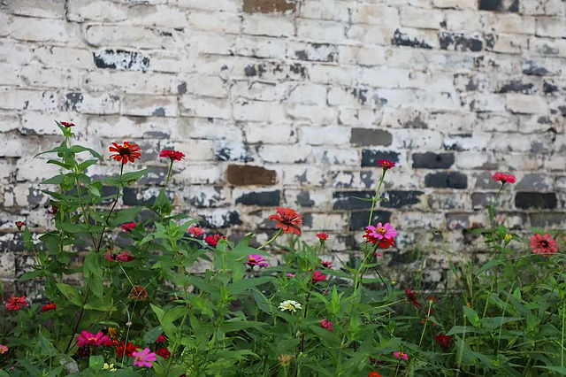 惊叹!屈氏庄园的建筑微观(图26) nEO_IMG_27.jpg