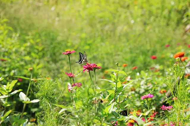 惊叹!屈氏庄园的建筑微观(图25) nEO_IMG_26.jpg