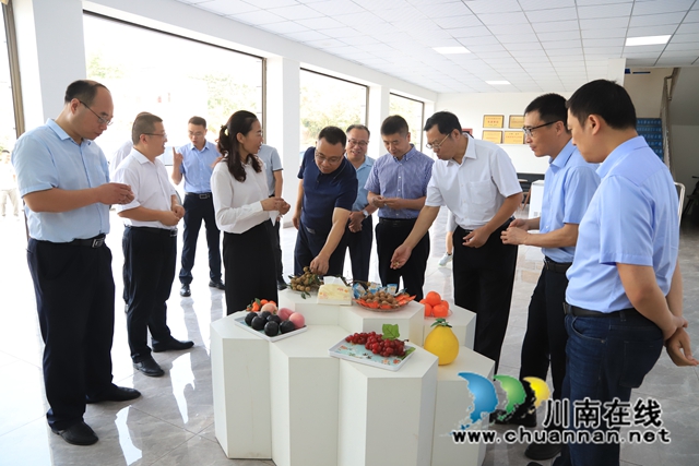 中华全国供销合作总社到泸县云龙镇调研供销合作社质量品牌建设工作