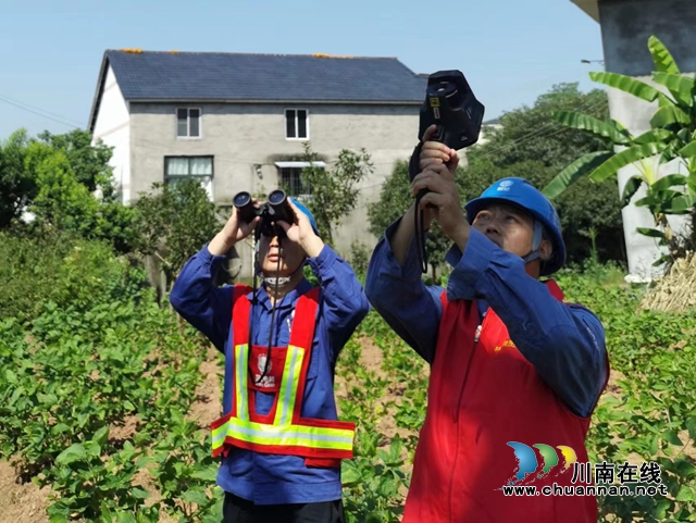 龙马潭：“陆空两栖”精准巡视，保障电力安全稳定供应