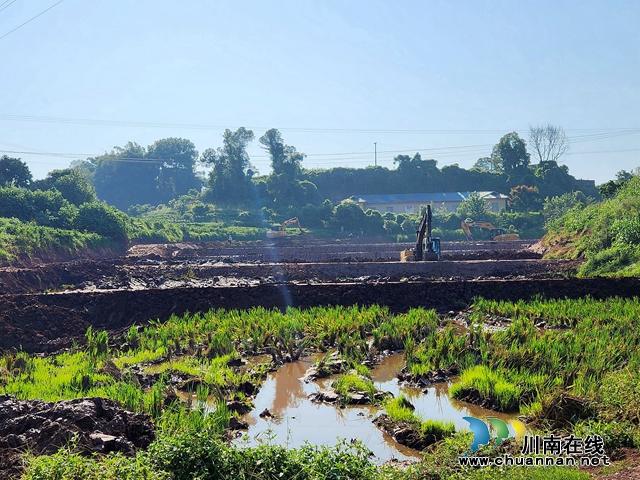 泸县立石镇：用高标准农田托底粮食安全