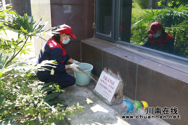 龙马潭：病媒防制“除四害”，营造健康宜居城乡环境