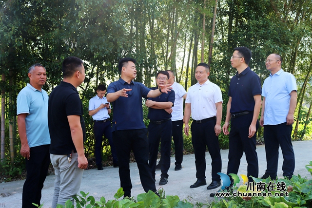 四川省民政厅率队到泸县立石镇督导自建房安全工作