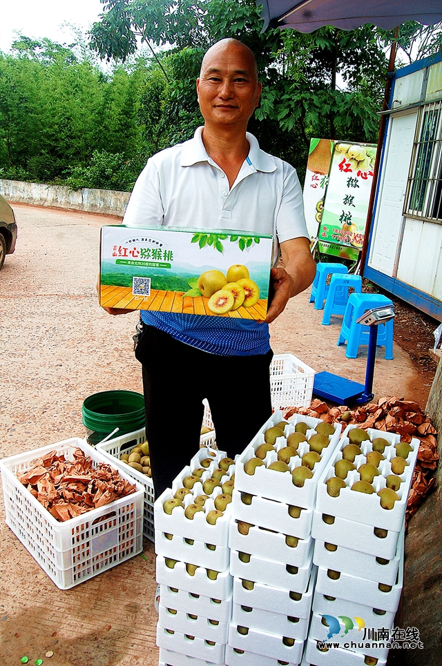 图2：余小平装箱销售的猕猴桃.JPG