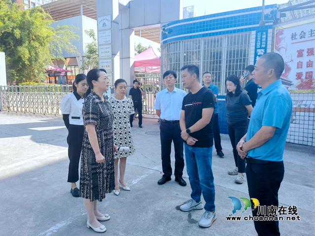 市委“东翼”督导组组长陈治琼率队到泸县督导县城车行道、人行道维修改造项目