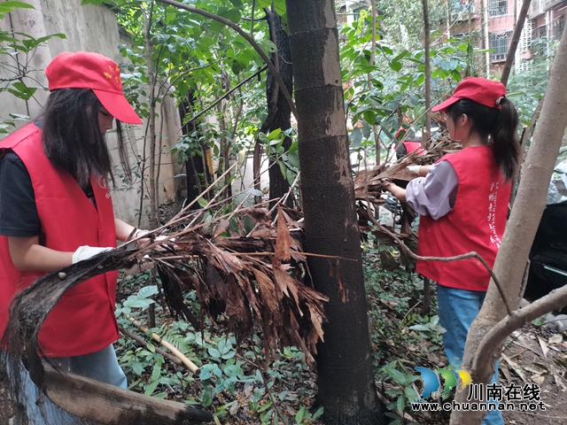 龙马潭区小市街道杜家街社区开展环境卫生整治志愿服务
