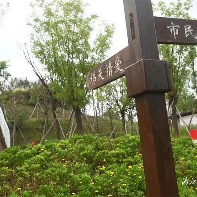 爱情迷宫+浪漫花海,内江这个湿地公园太“甜”了(图9) 9.jpg