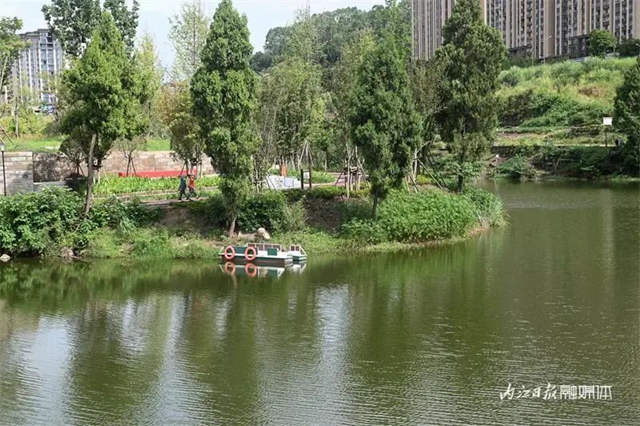 爱情迷宫+浪漫花海,内江这个湿地公园太“甜”了(图1) 1.jpg