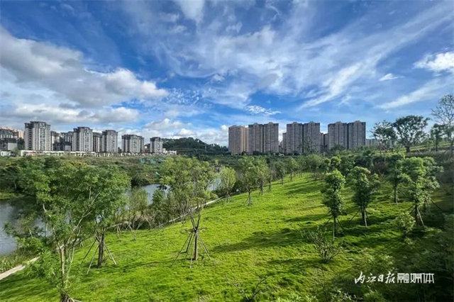 爱情迷宫+浪漫花海,内江这个湿地公园太“甜”了(图3) 3.jpg