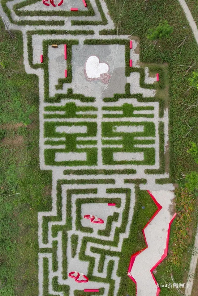 爱情迷宫+浪漫花海,内江这个湿地公园太“甜”了(图5) 5.jpg