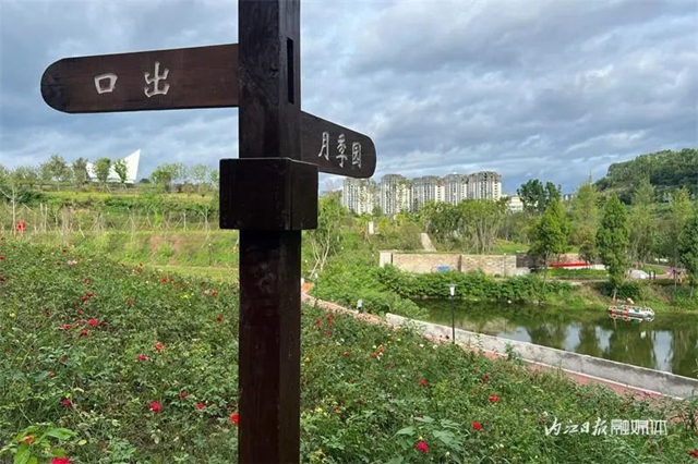 爱情迷宫+浪漫花海,内江这个湿地公园太“甜”了(图6) 6.jpg