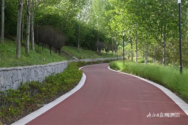 爱情迷宫+浪漫花海,内江这个湿地公园太“甜”了(图13) 13.jpg