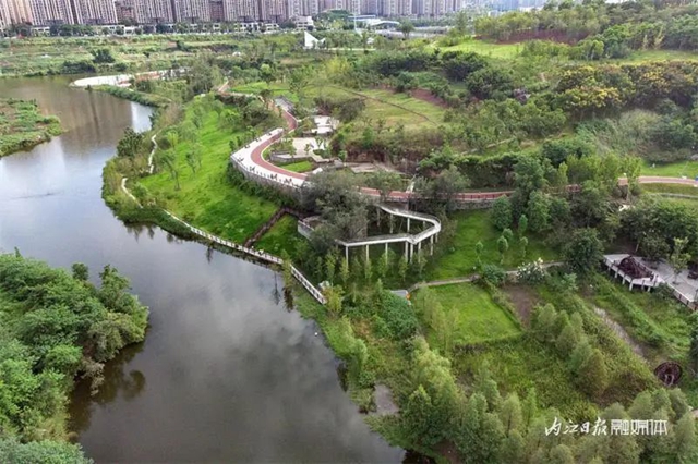 爱情迷宫+浪漫花海,内江这个湿地公园太“甜”了(图16) 16.jpg