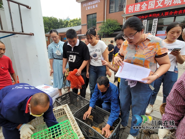 泸县玉蟾街道助力残疾困难户脱贫致富