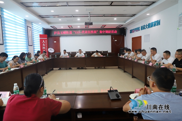 文明有我  我为文明｜泸县玉蟾街道“115——代表在找我”活动纪实