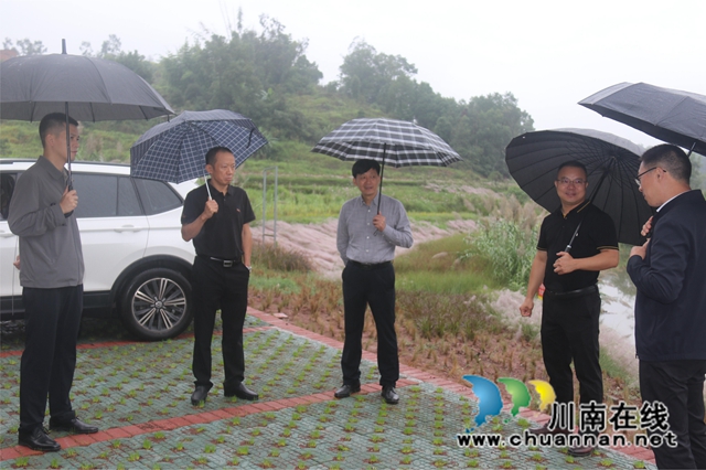 朱大清率队到泸县百和镇督导大陆溪水质达标攻坚工作