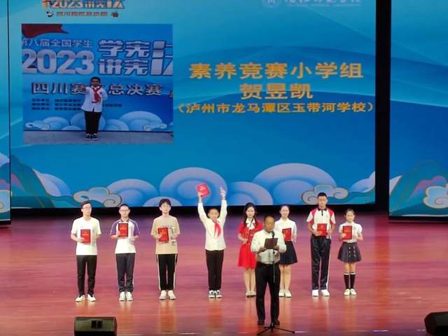 优秀！龙马潭区学生在省级赛事中斩获佳绩