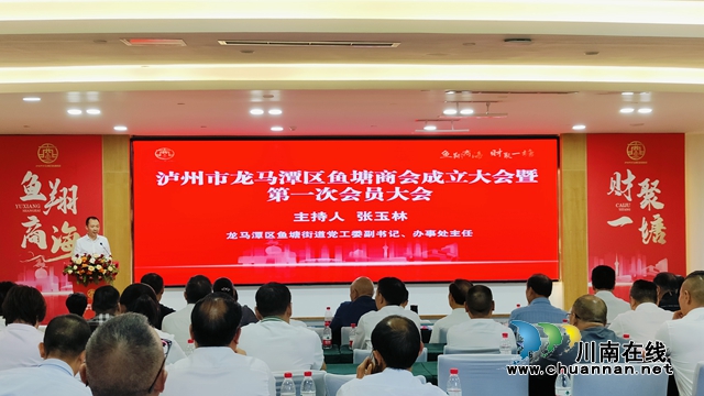 龙马潭区鱼塘街道：人大代表助力商会走出高质量发展新路子