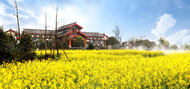 为你推荐泸州市研学体验传承推广点位!白酒文化主题来啦(图2) 主2.jpg