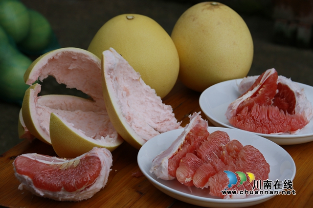 龙马潭：三红蜜柚喜迎丰收，助力村民增收致富