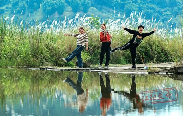 超级出片!江阳这处绝美芦苇地等你来打卡(图7) 7.jpg